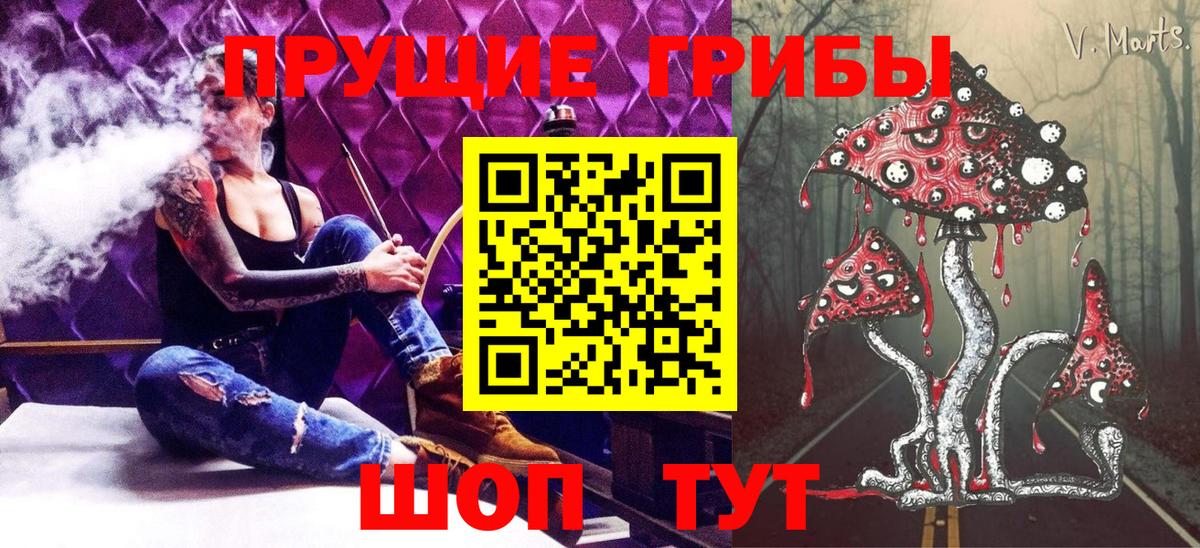 Елец  Псилоцибиновые грибы мухоморы  как найти наркотики  Вход с VPN  Галлюциногенные грибы Magic Shrooms 